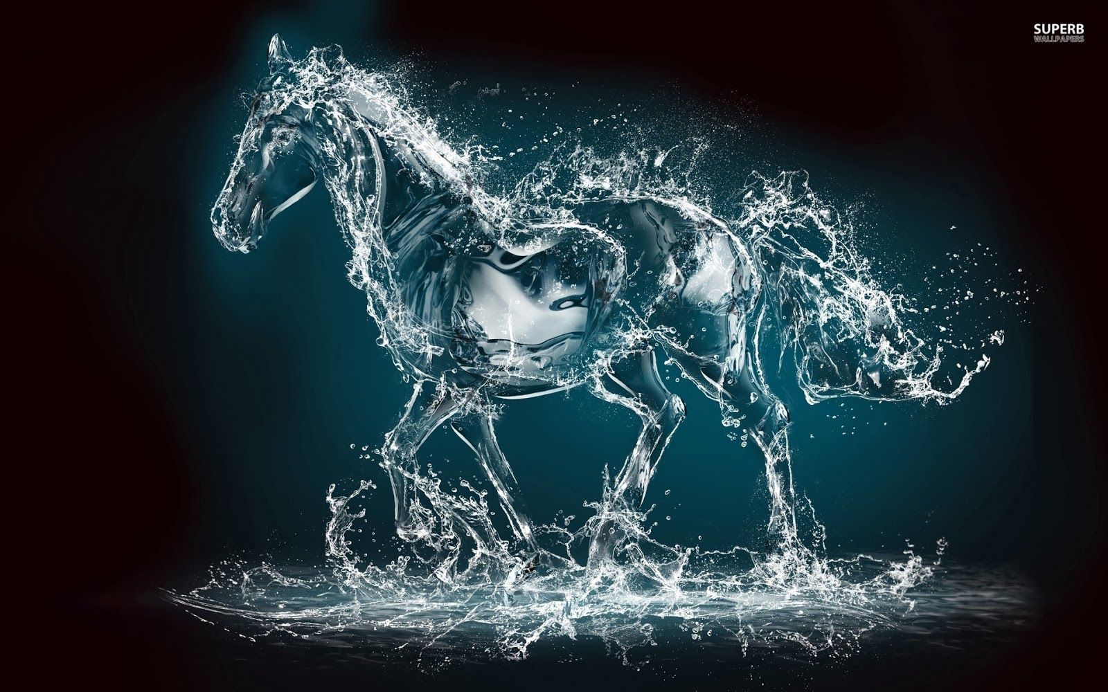 Water Horse Wallpapers