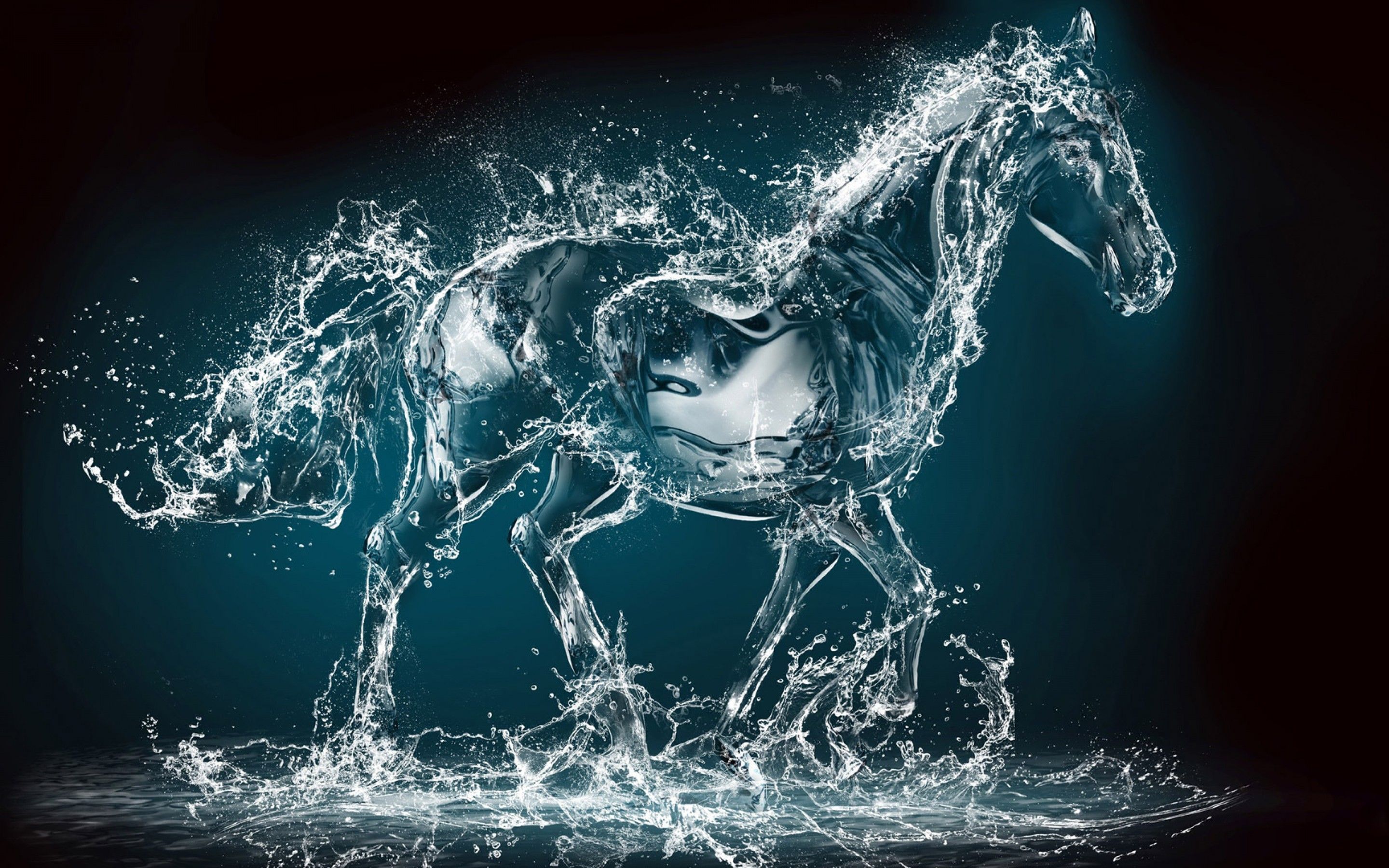 Water Horse Wallpapers