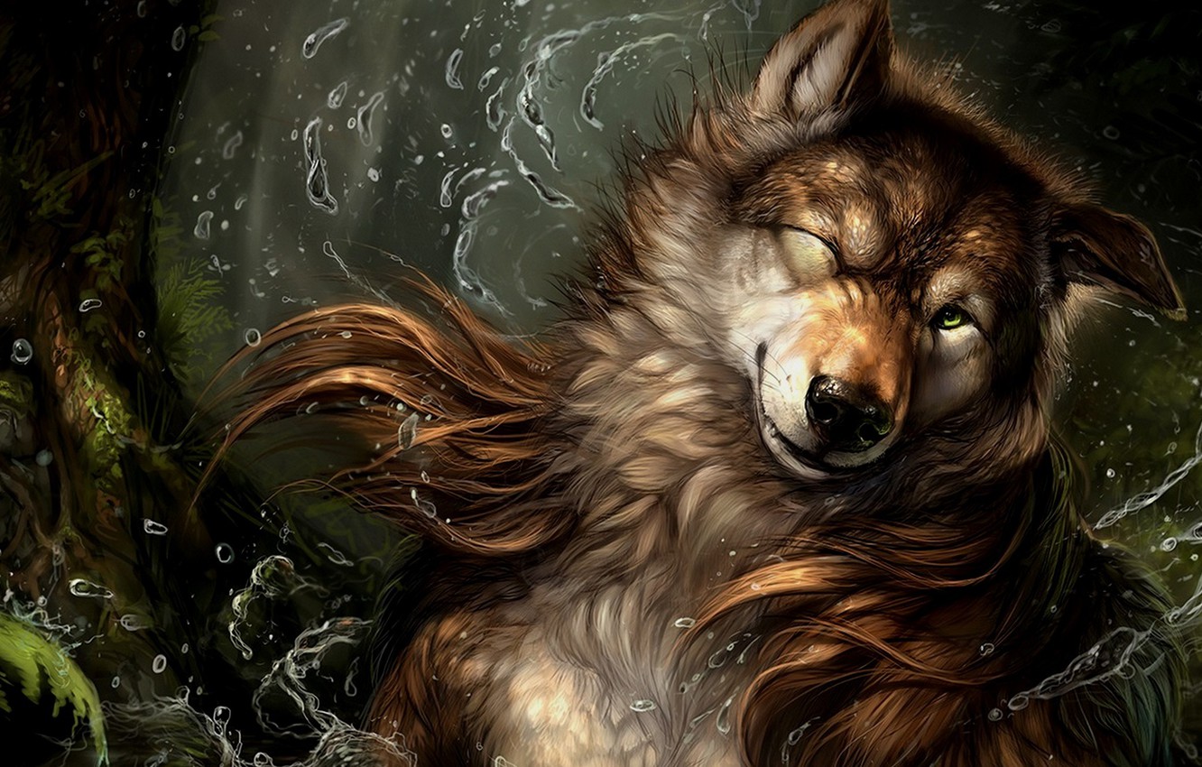 Water Wolf Wallpapers