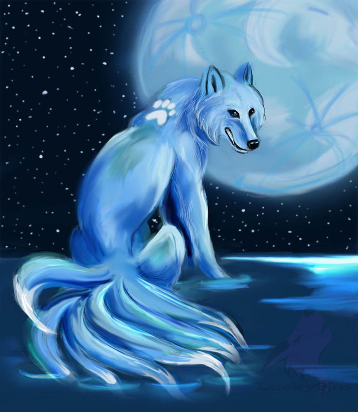 Water Wolf Wallpapers