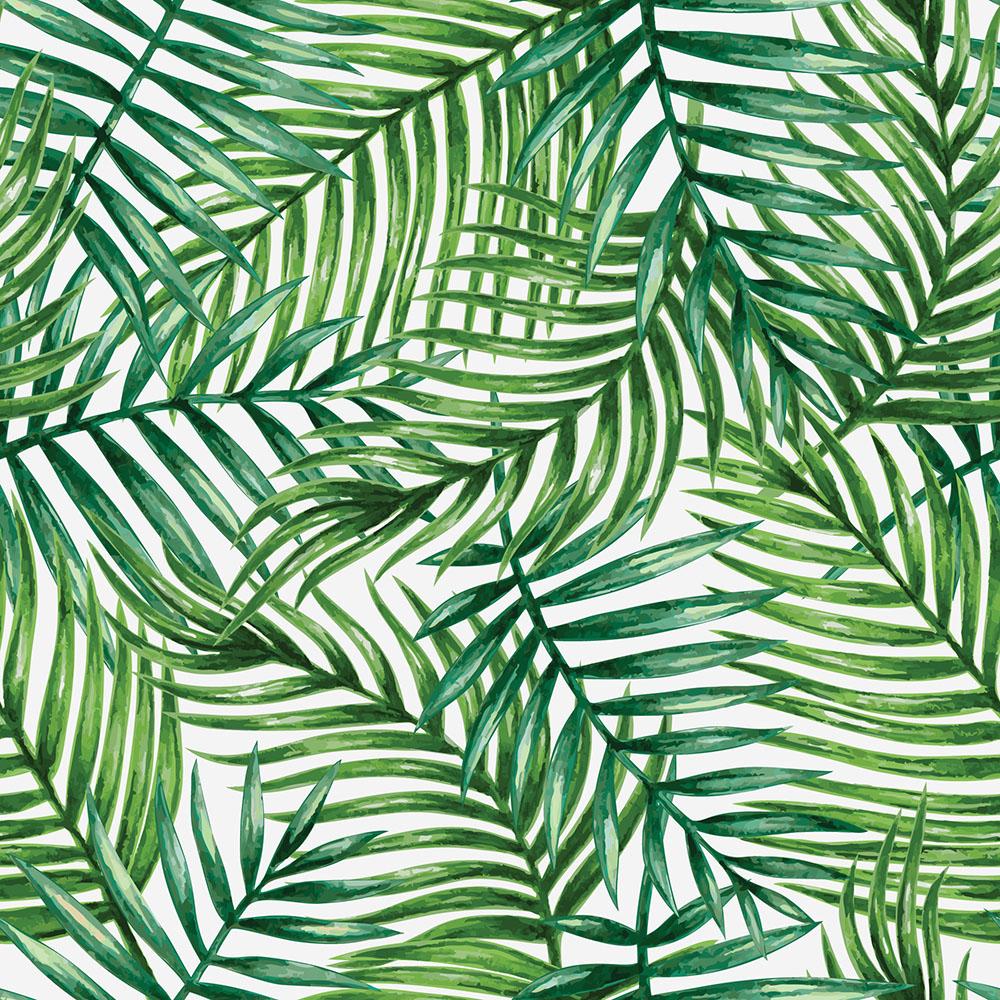 Watercolor Palm Leaves Wallpapers