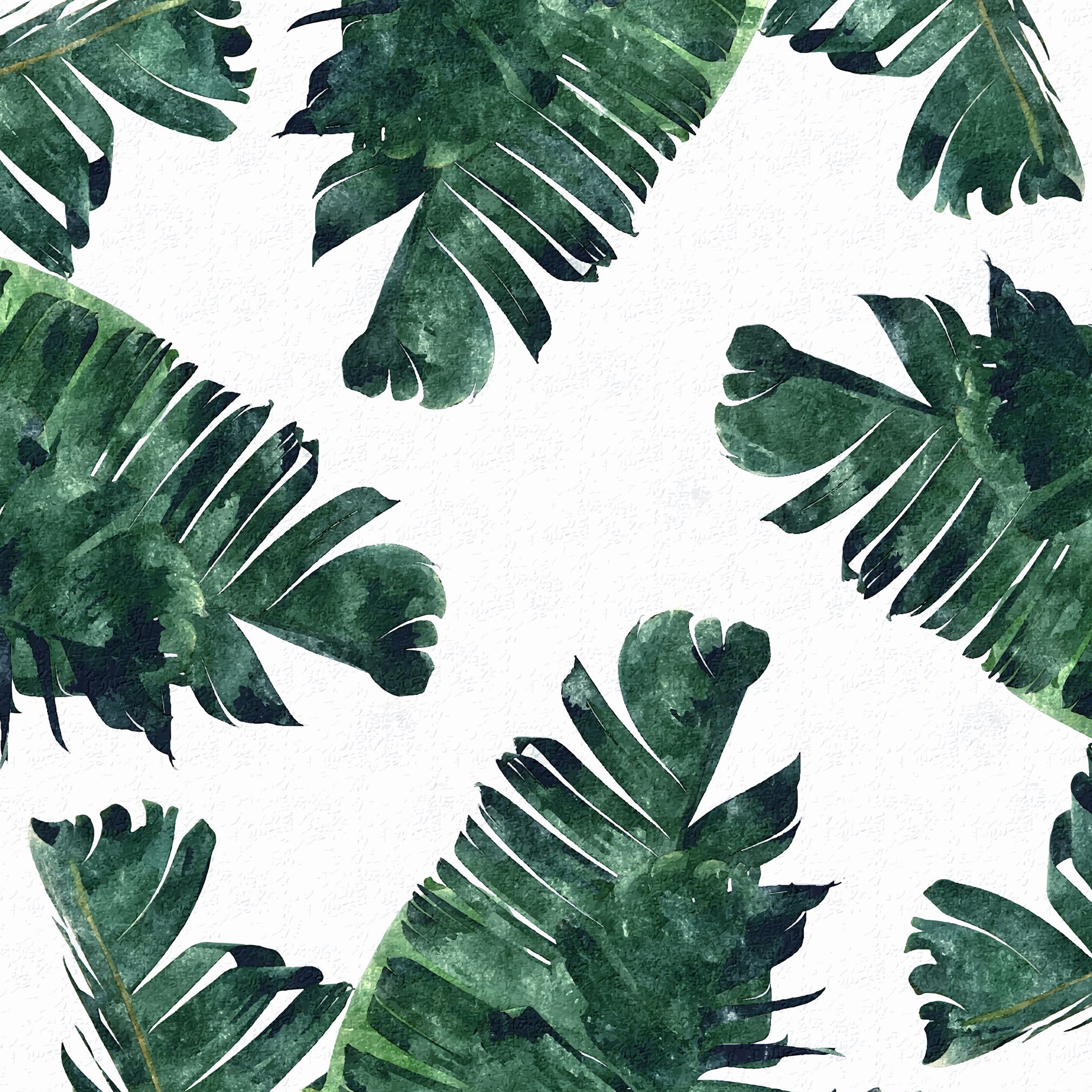 Watercolor Palm Leaves Wallpapers