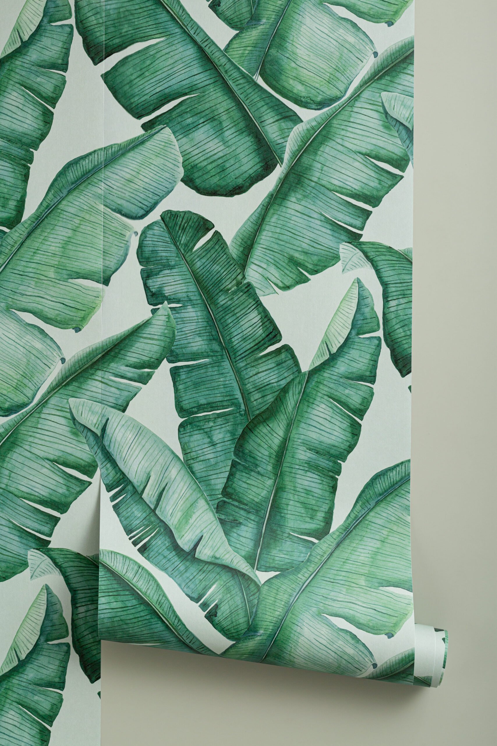 Watercolor Palm Leaves Wallpapers