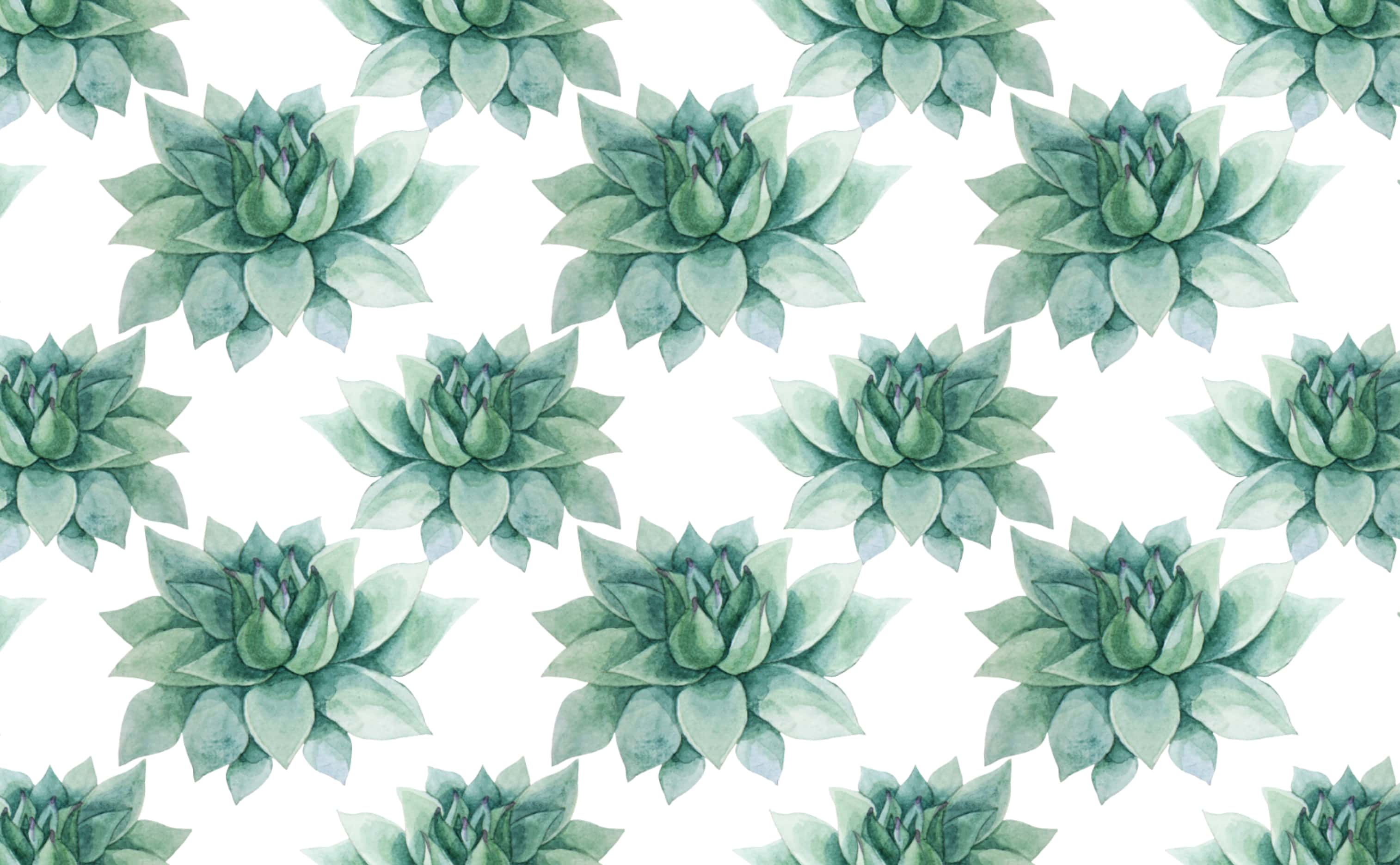 Watercolor Succulent Wallpapers