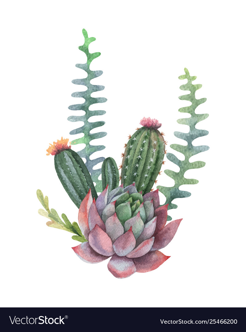 Watercolor Succulent Wallpapers