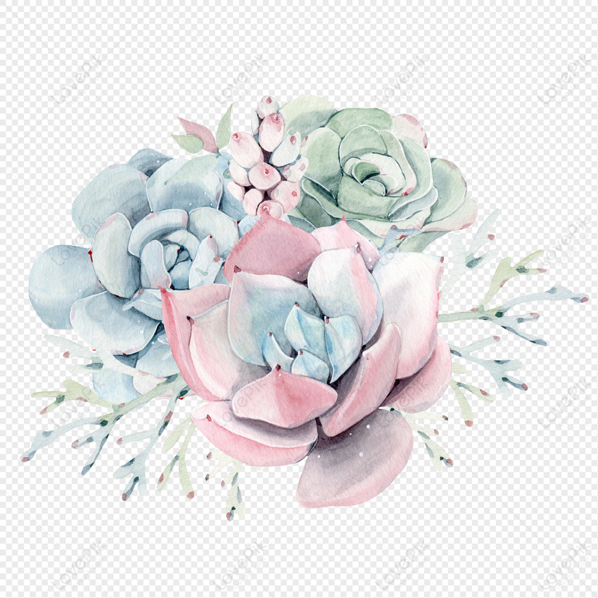 Watercolor Succulent Wallpapers