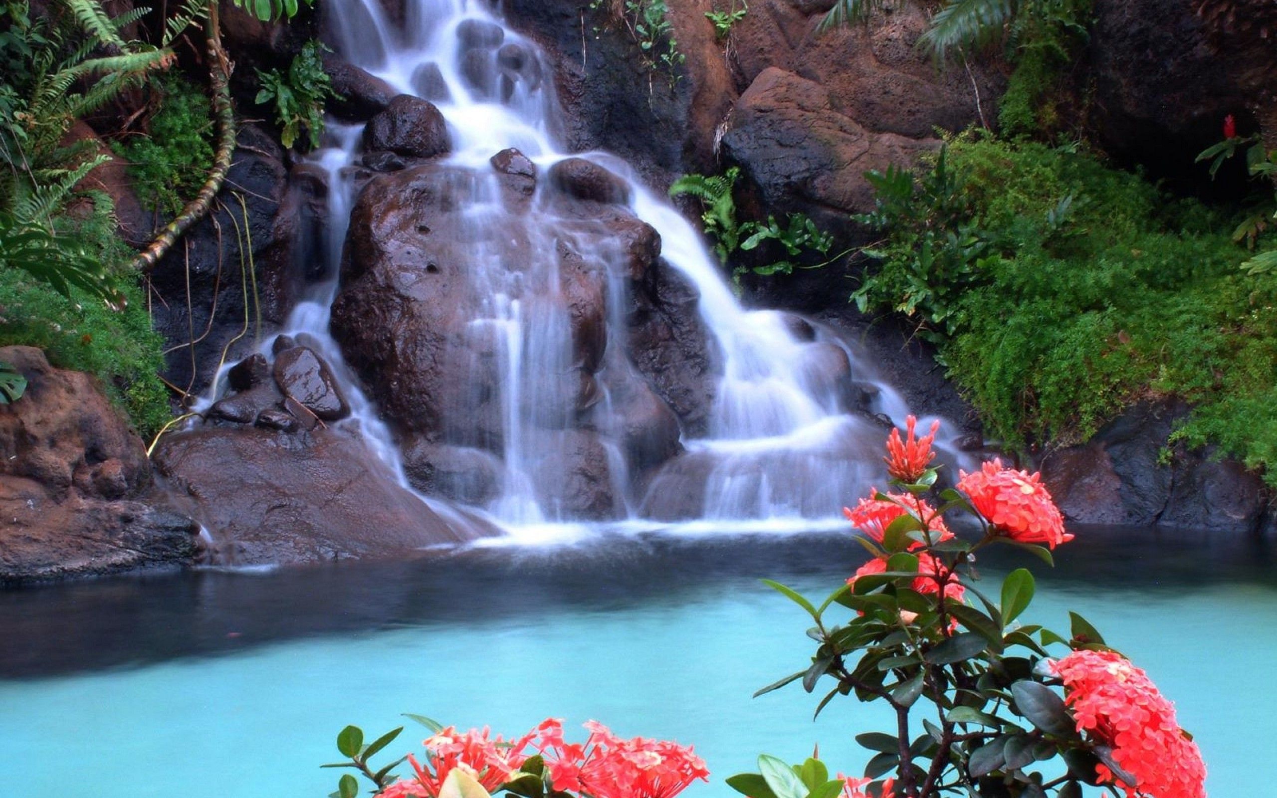 Waterfall And Flowers Wallpapers