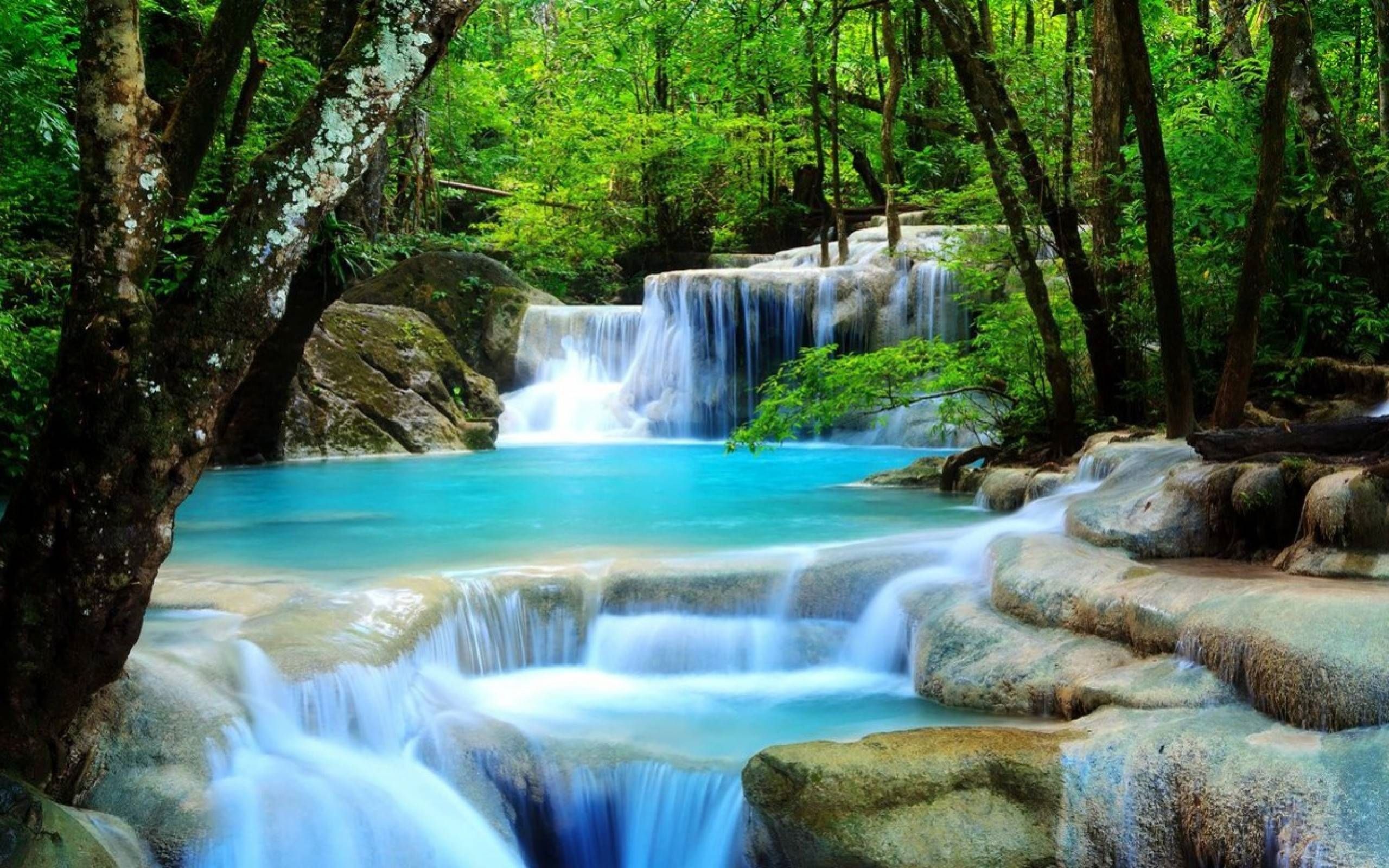 Waterfall Rainforest Wallpapers