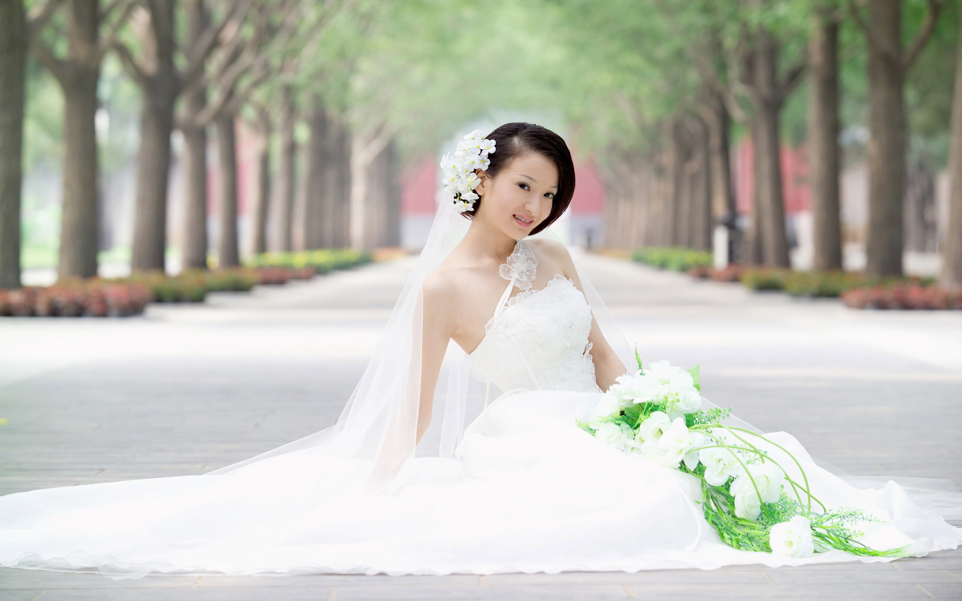 Wedding Dresses Wallpapers