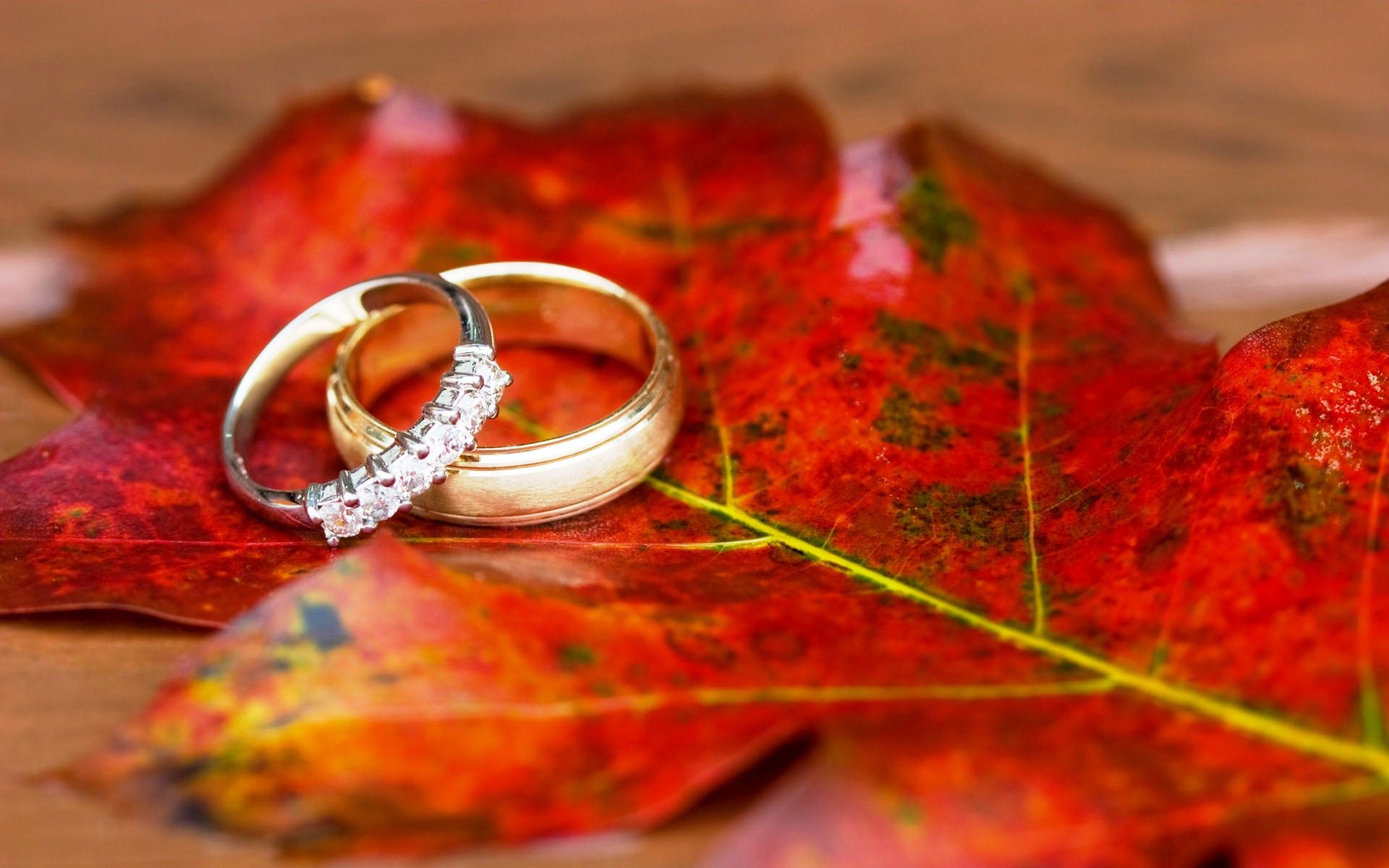 Wedding Ring Wallpapers