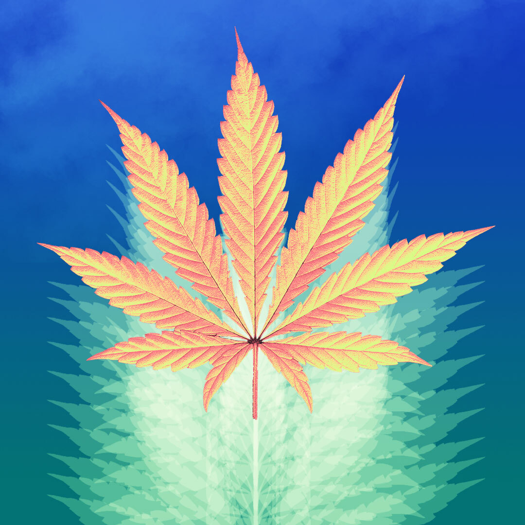 Weed 1080X1080 Wallpapers