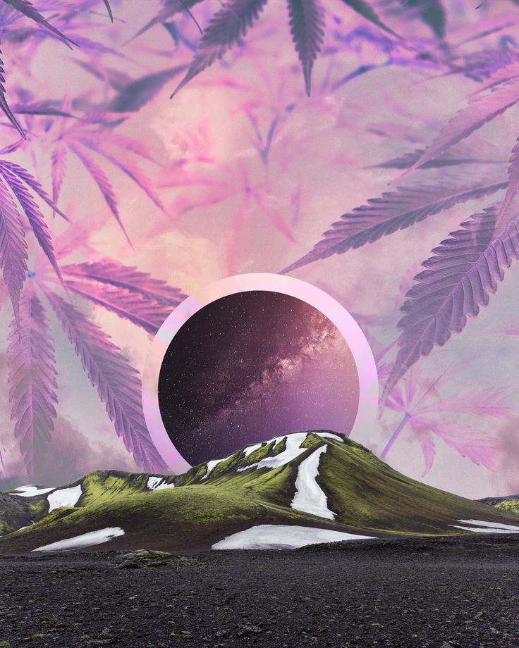 Weed Collage Wallpapers