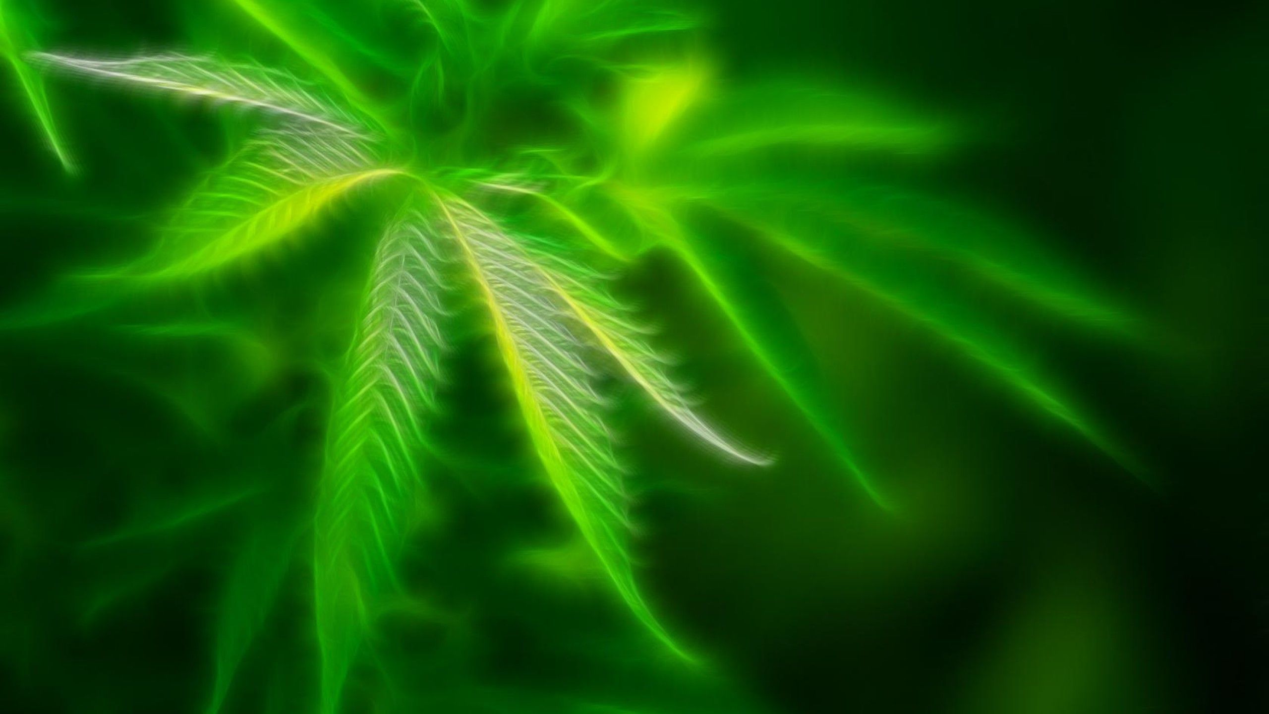 Weed Live Wallpapers