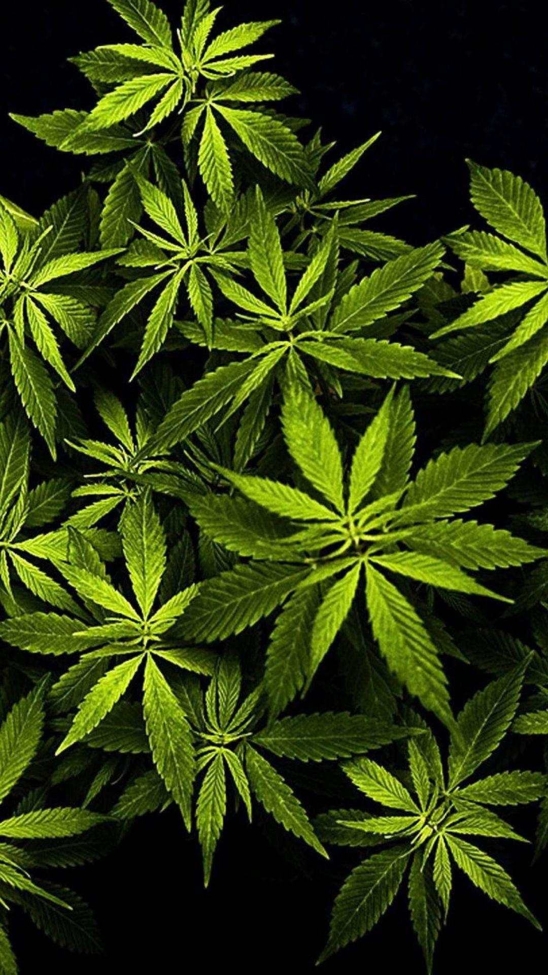 Weed Iphone 5 Wallpapers