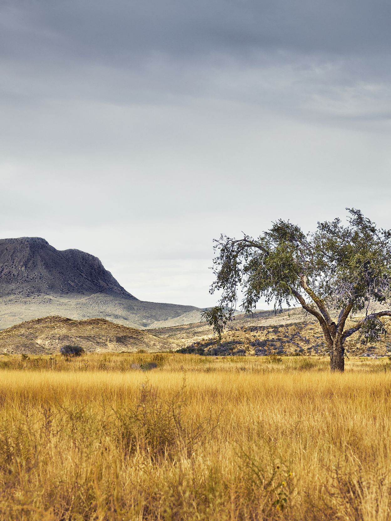 West Texas Wallpapers