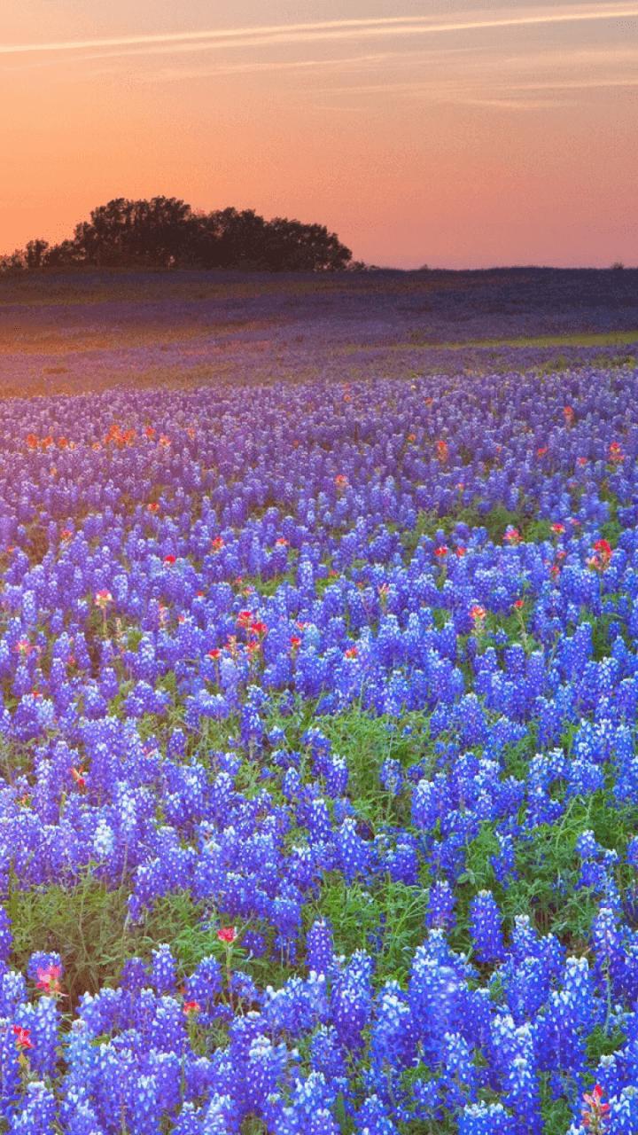 West Texas Wallpapers