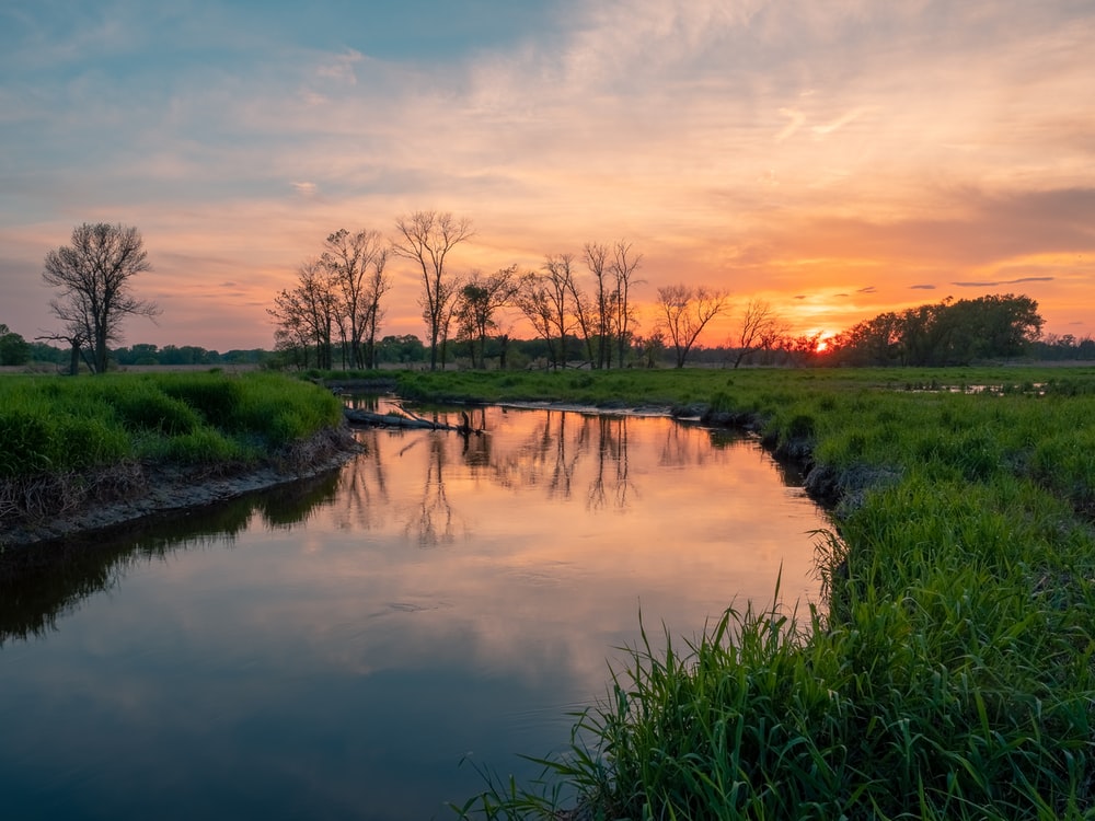 Wetlands Wallpapers