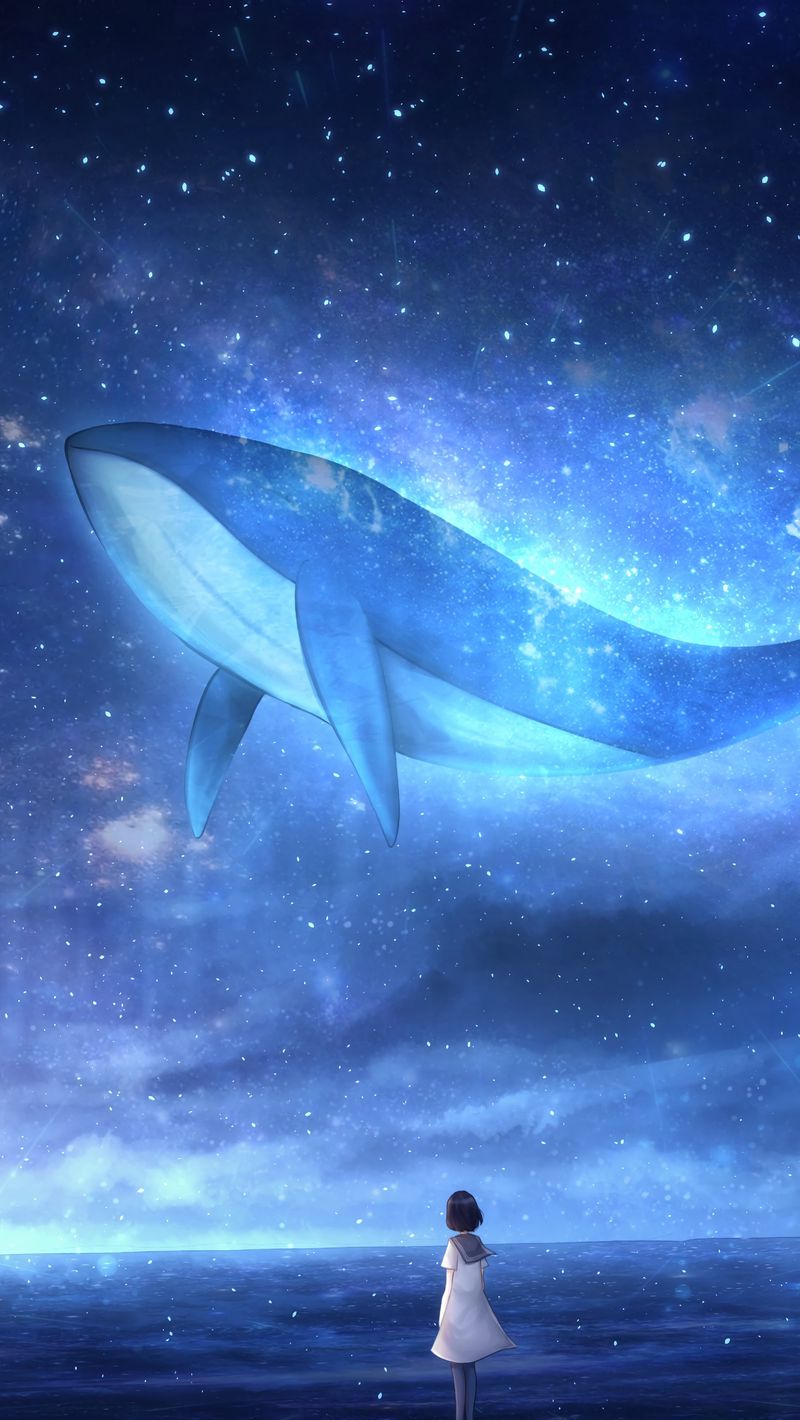 Whale Iphone Wallpapers