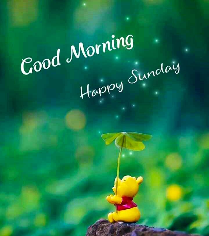 Whatsapp Good Morning Sunday Wallpapers