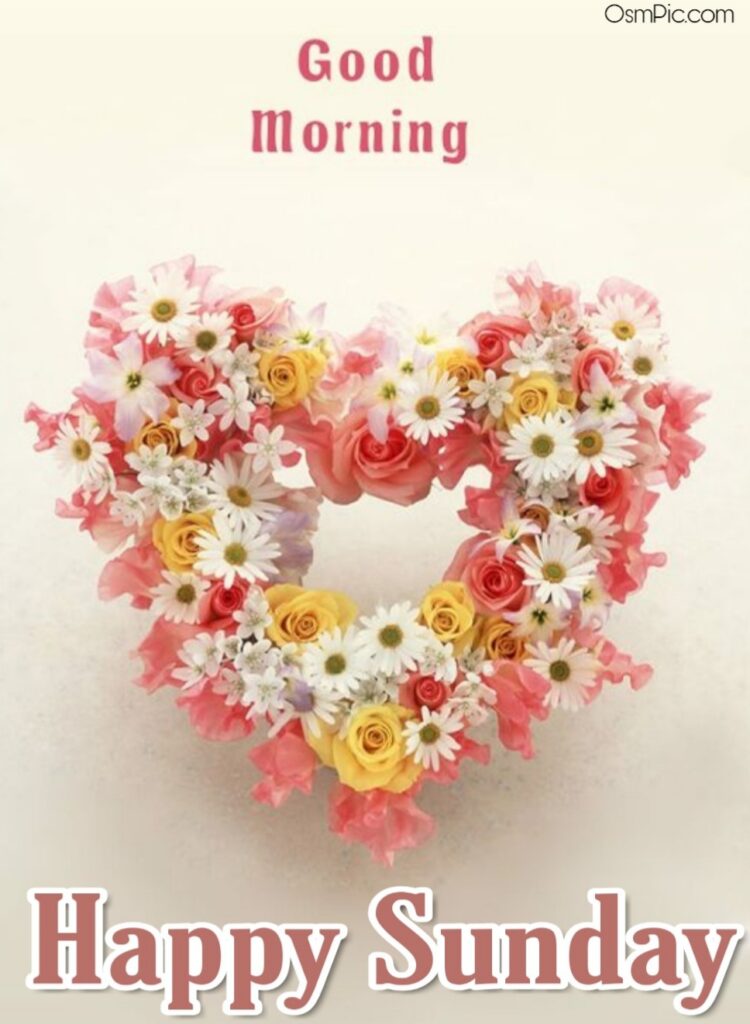 Whatsapp Good Morning Sunday Wallpapers