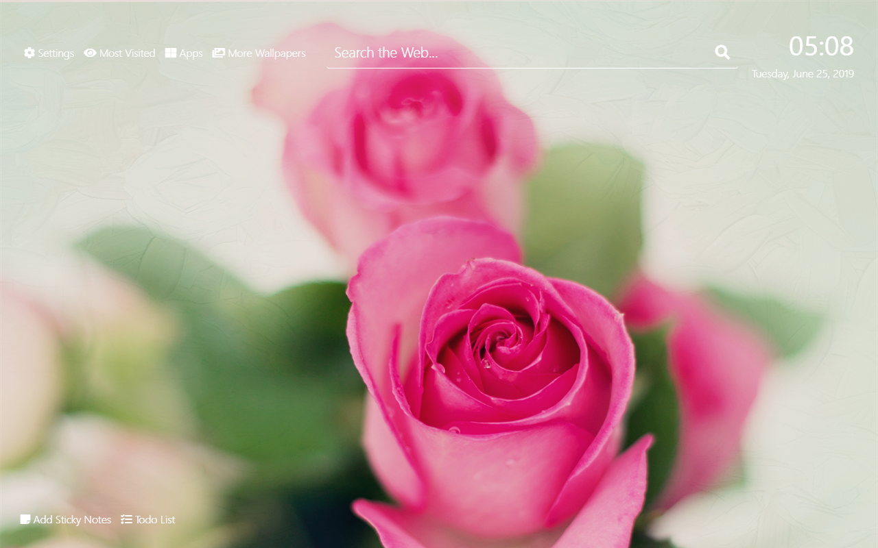 White And Pink Roses Wallpapers