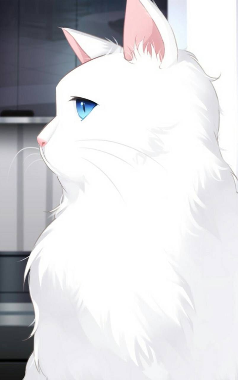 White Anime Cat Wallpapers