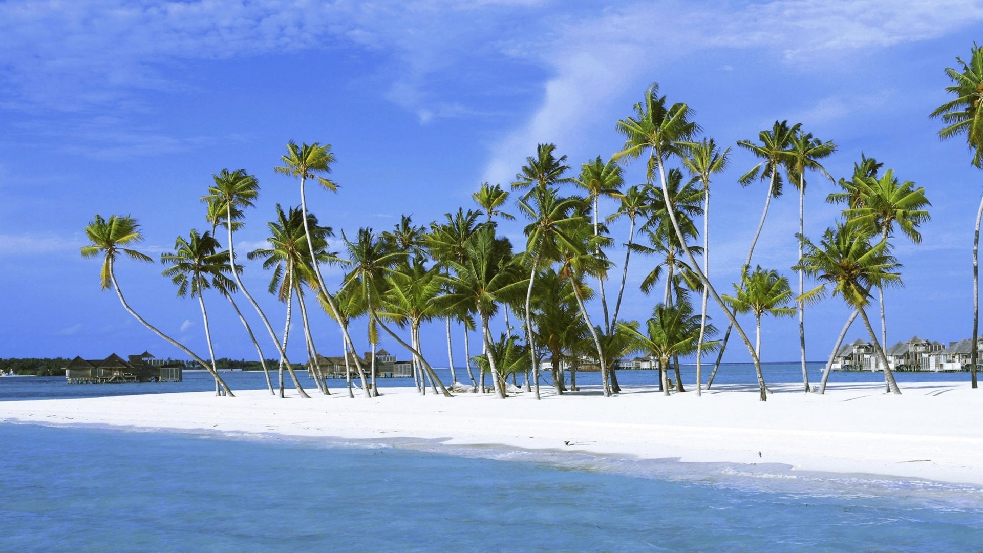 White Beach Wallpapers