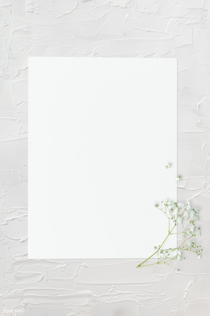 White Blank Wallpapers