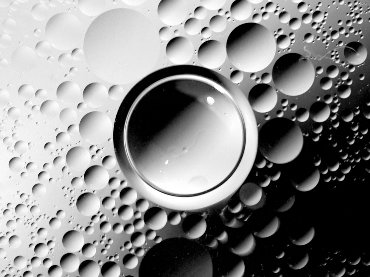 White Bubbles Wallpapers