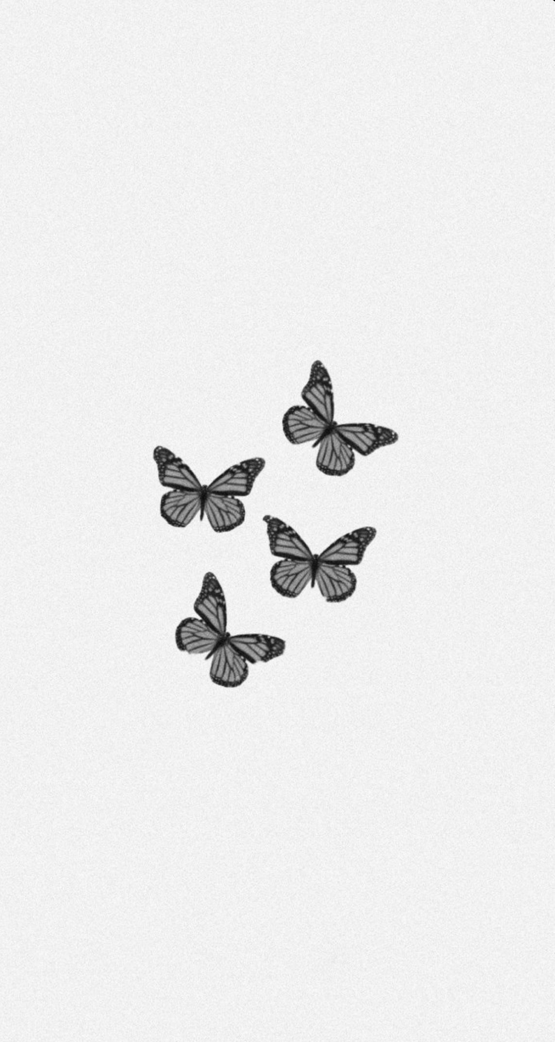 White Butterfly Wallpapers