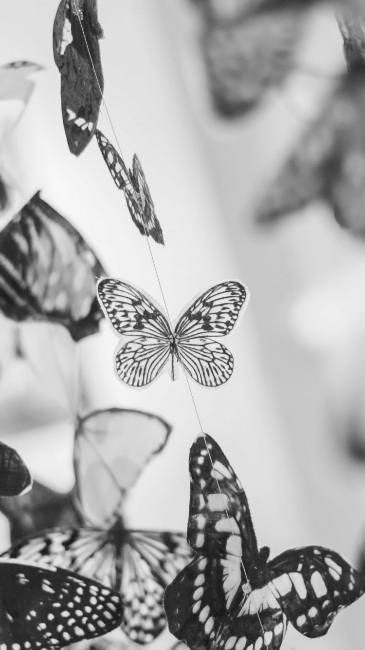 White Butterfly Wallpapers