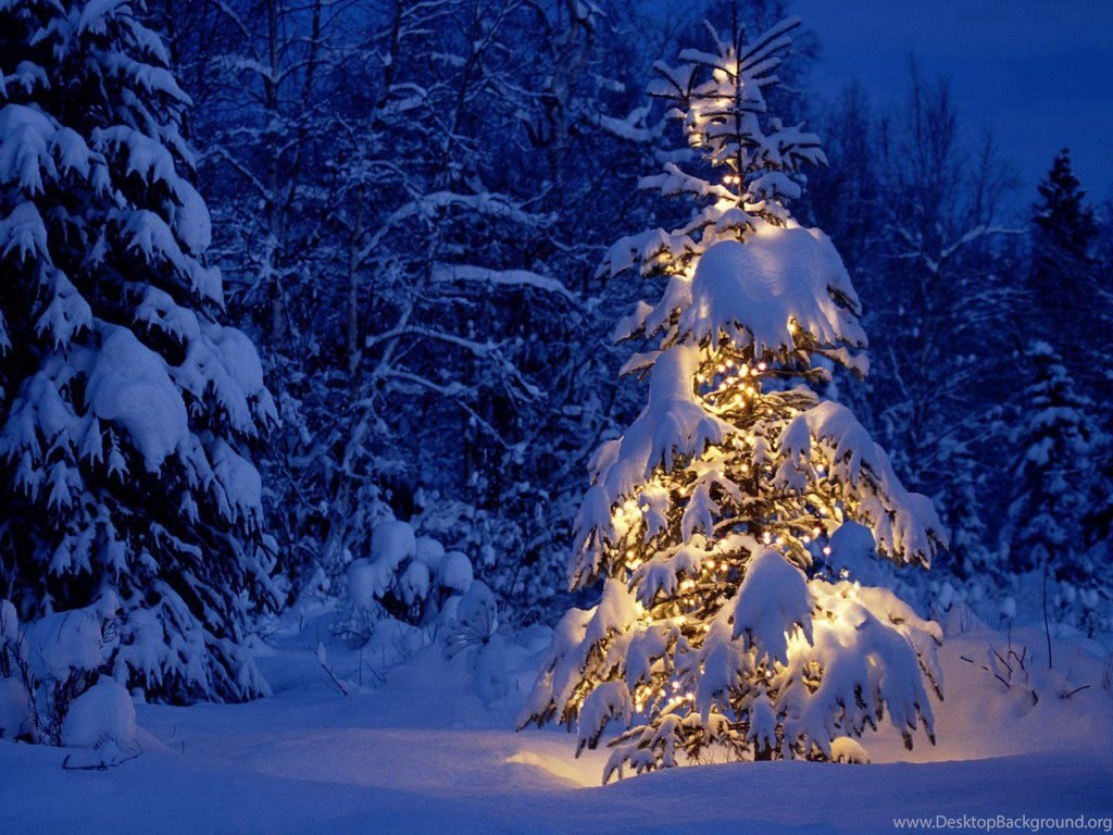 White Christmas Tree Wallpapers