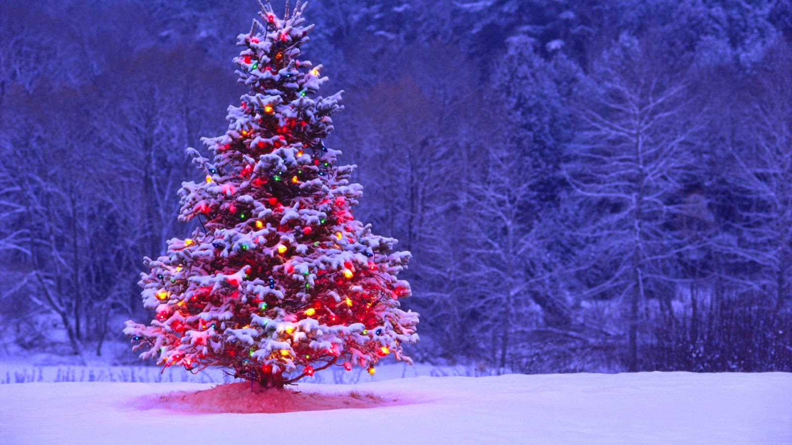 White Christmas Tree Wallpapers