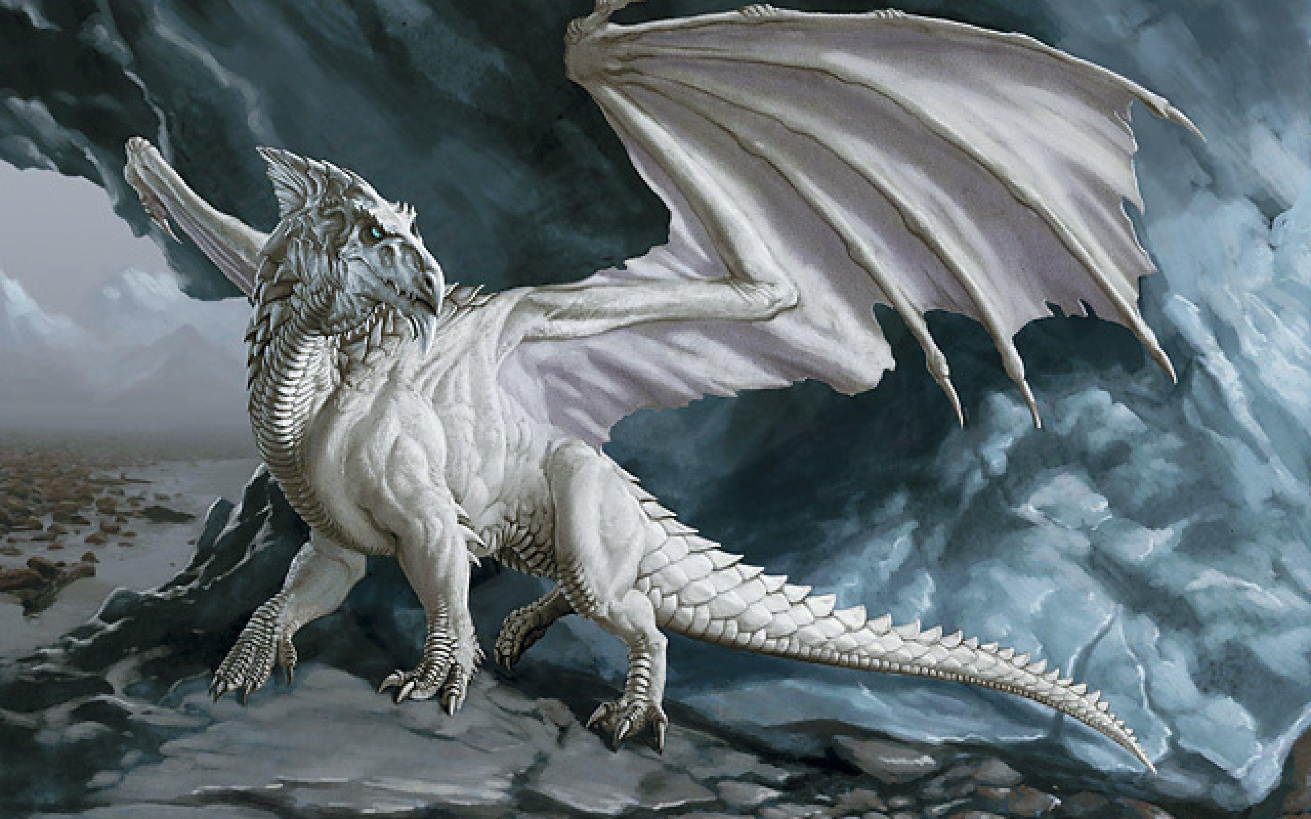 White Dragons Wallpapers