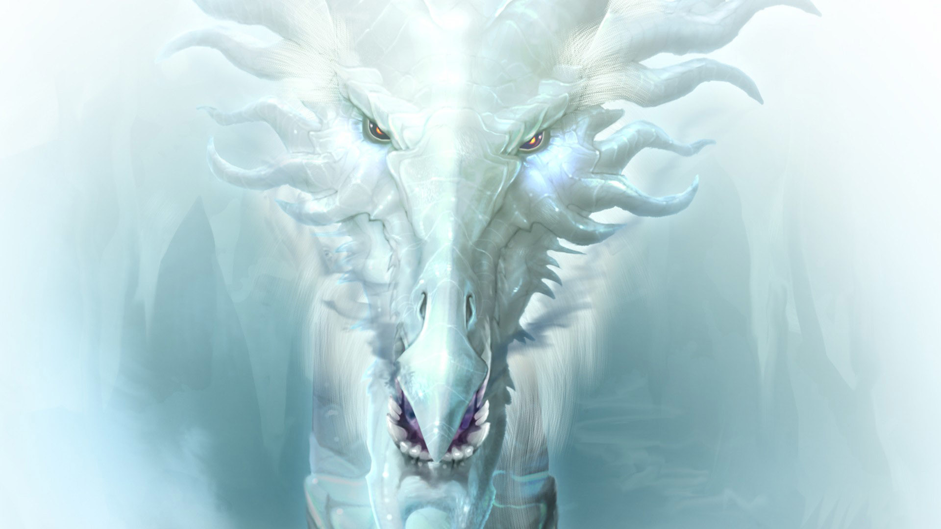 White Dragons Wallpapers