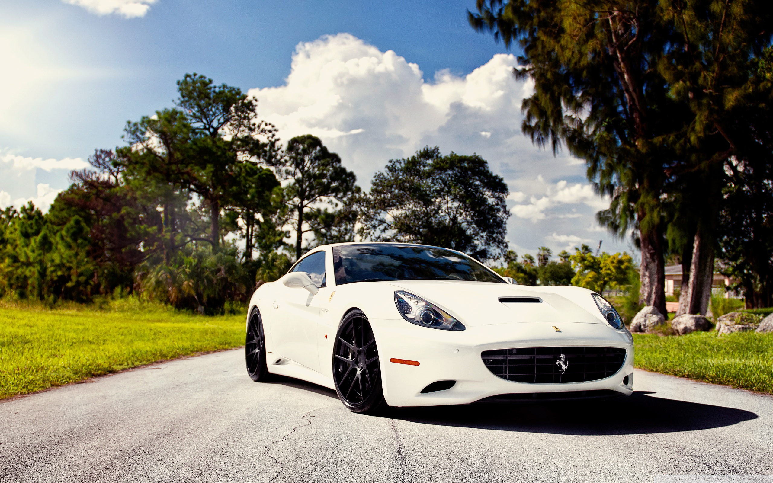 White Ferrari Wallpapers