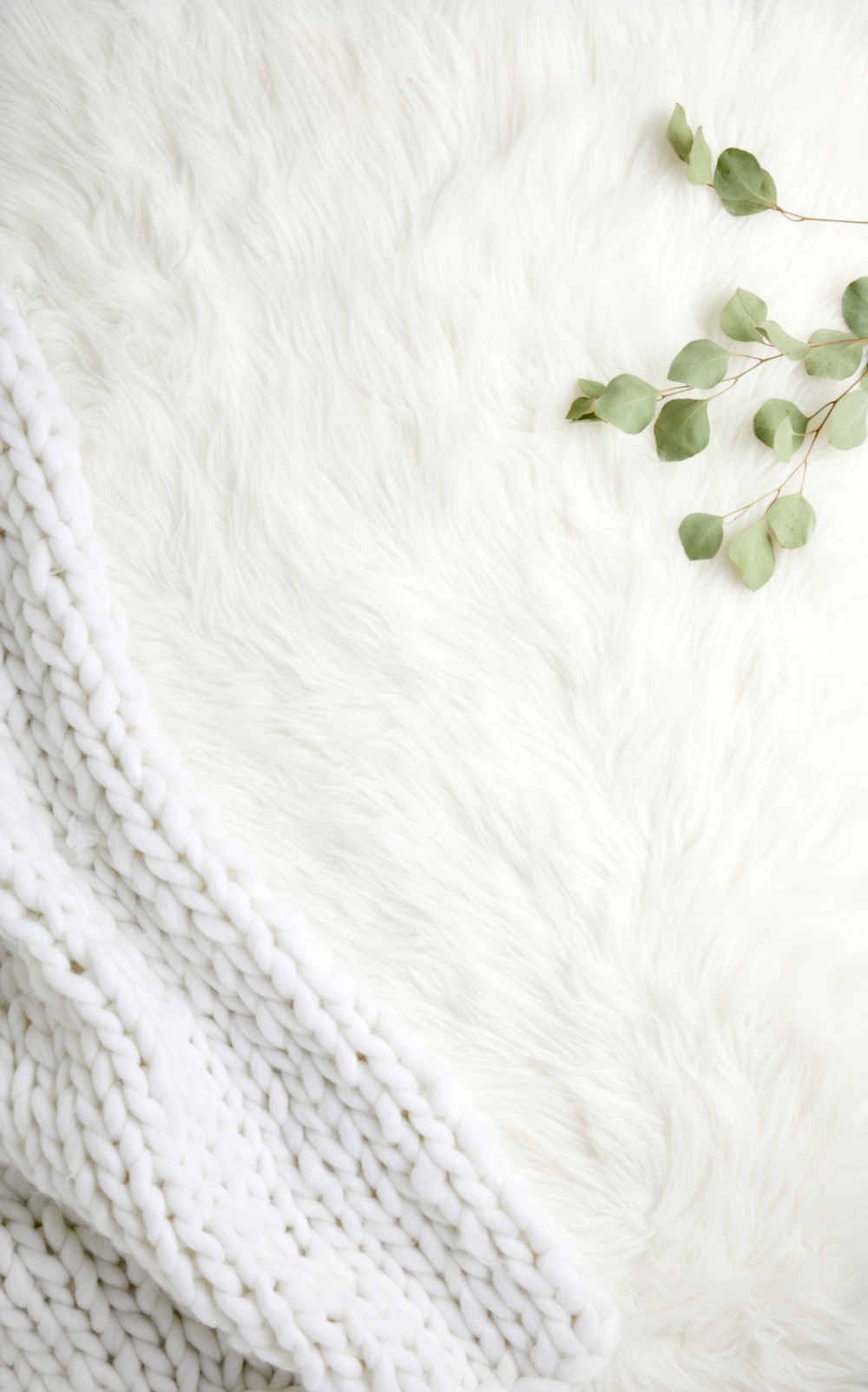 White Furry Wallpapers