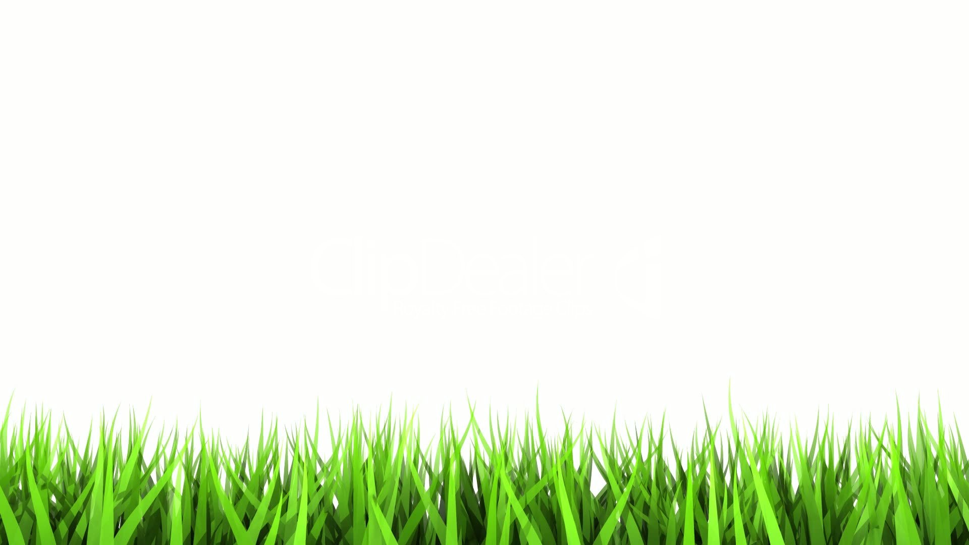 White Green Wallpapers