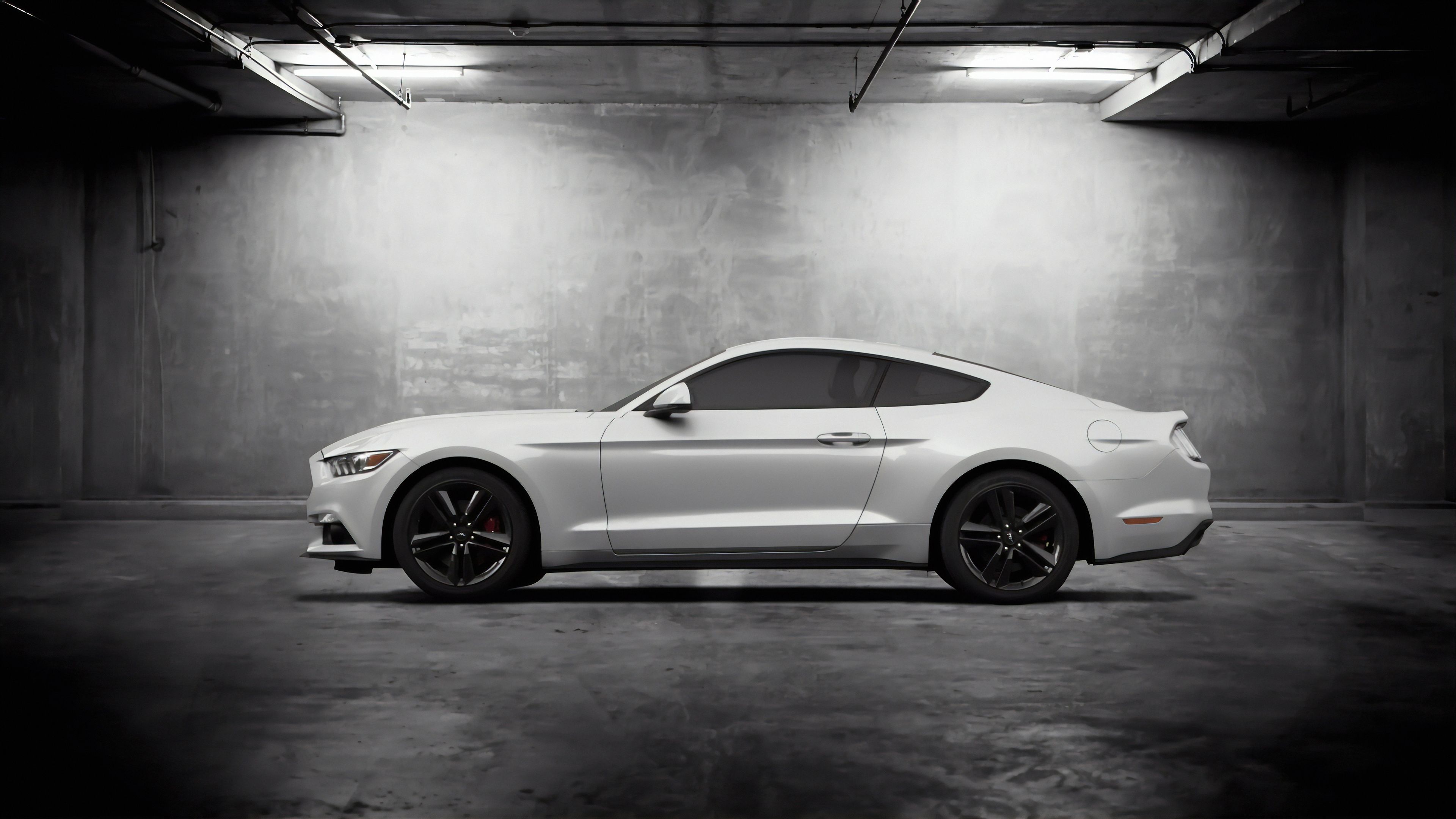 White Gt Mustang Wallpapers