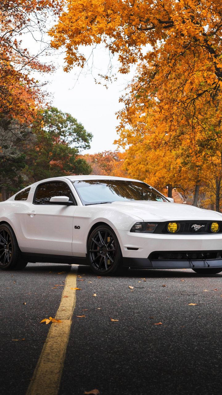 White Mustang Wallpapers