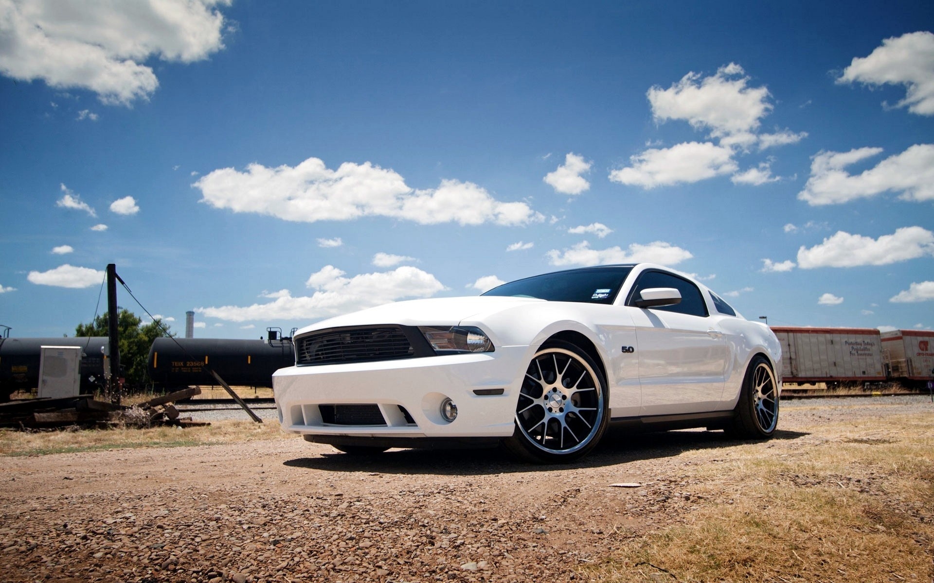 White Mustang Wallpapers
