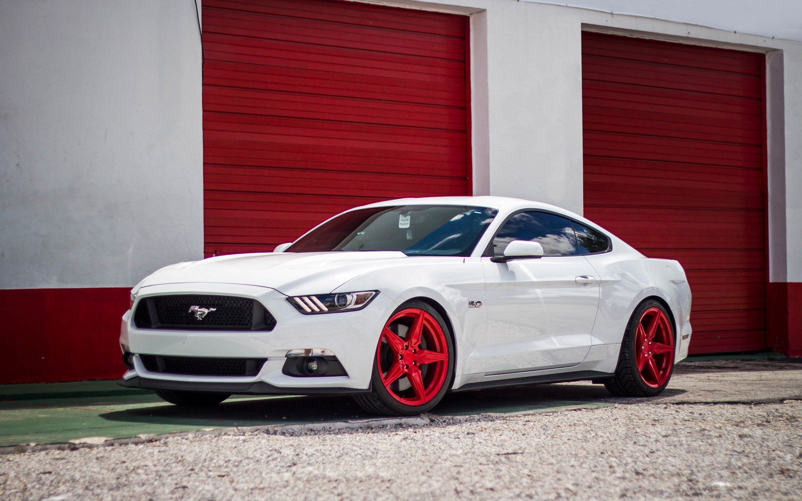 White Mustang Wallpapers