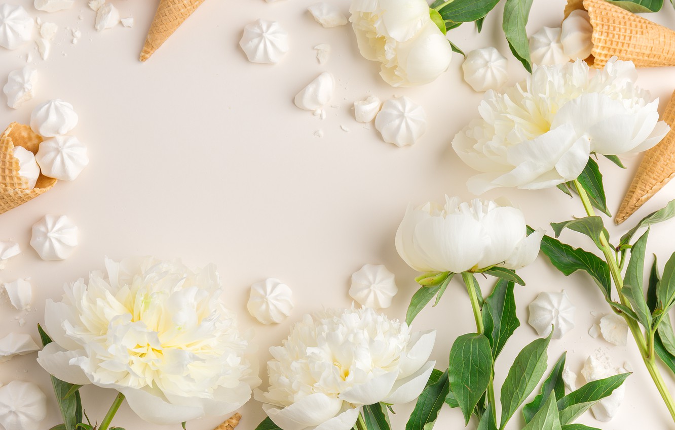 White Peonies Wallpapers