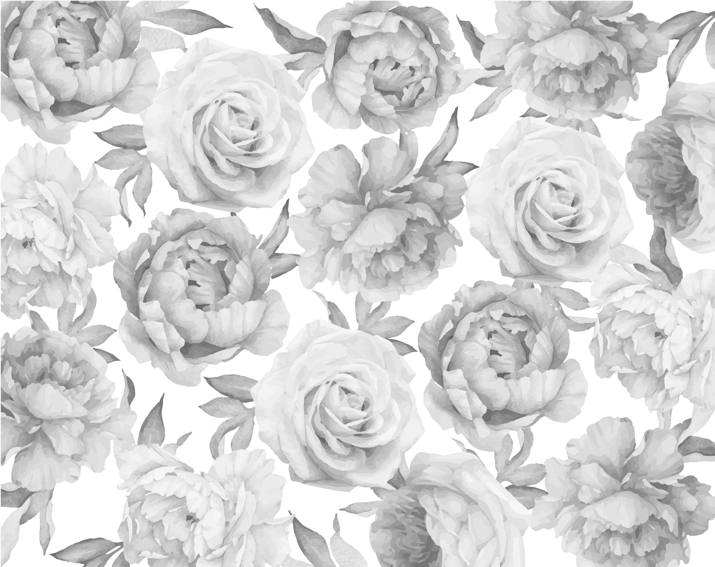 White Peonies Wallpapers