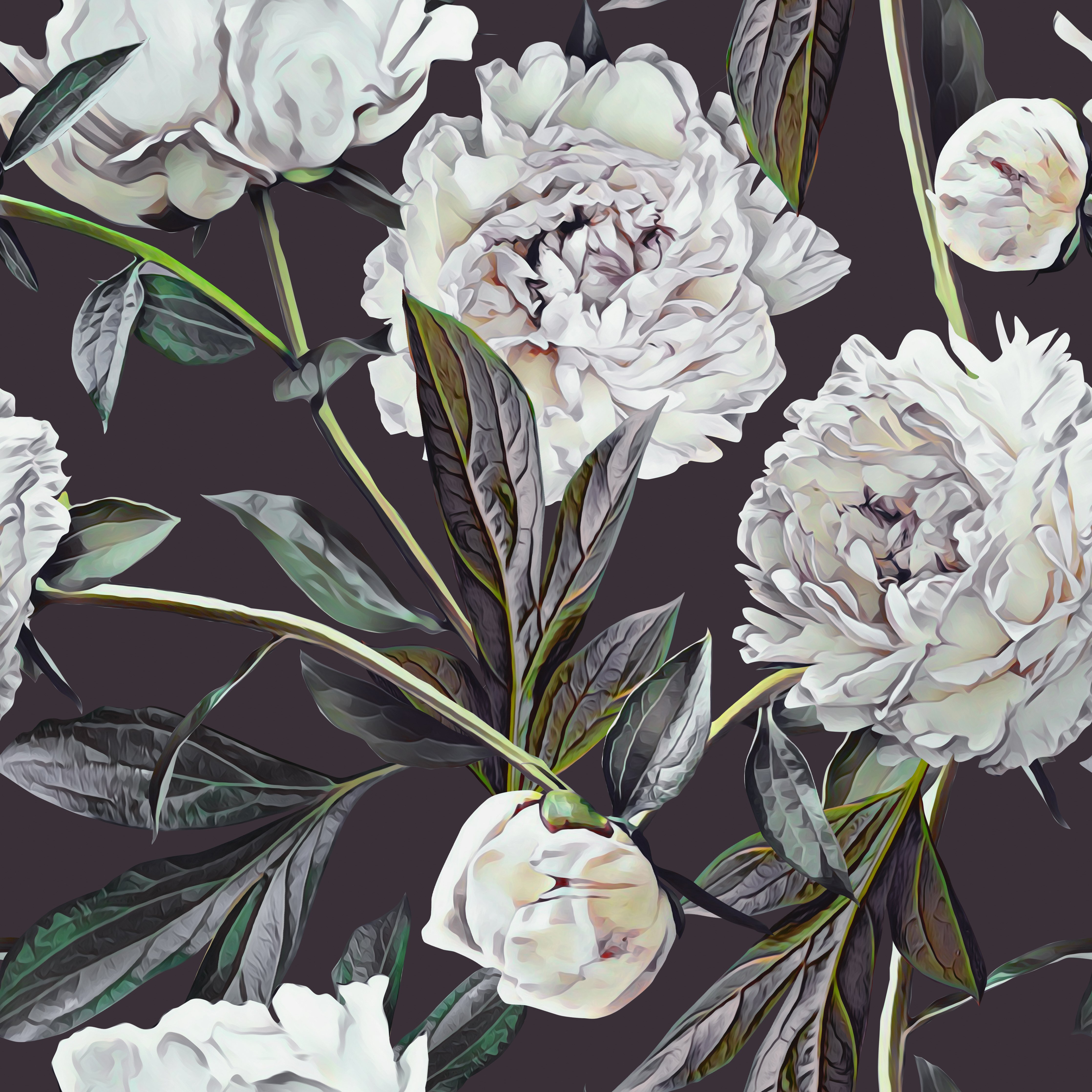 White Peonies Wallpapers