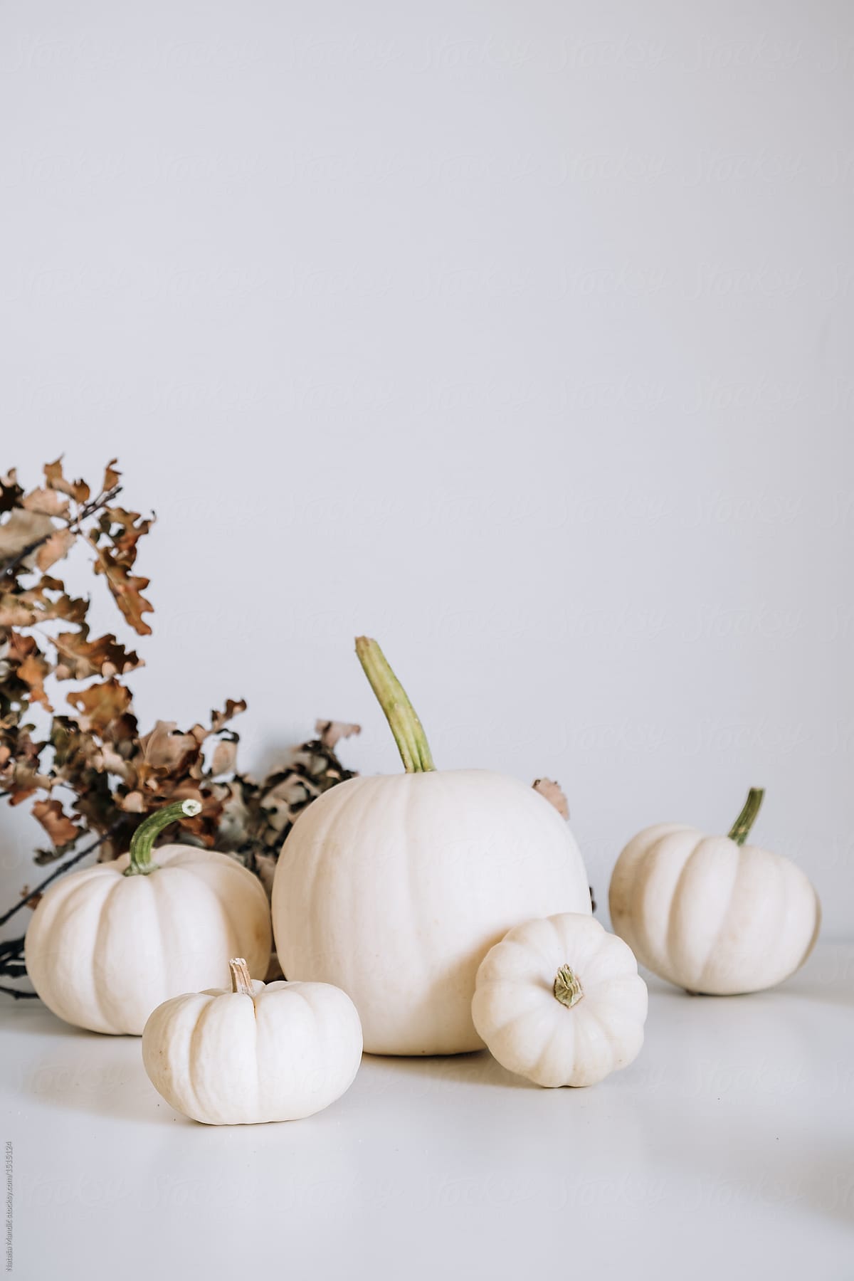 White Pumpkin Wallpapers