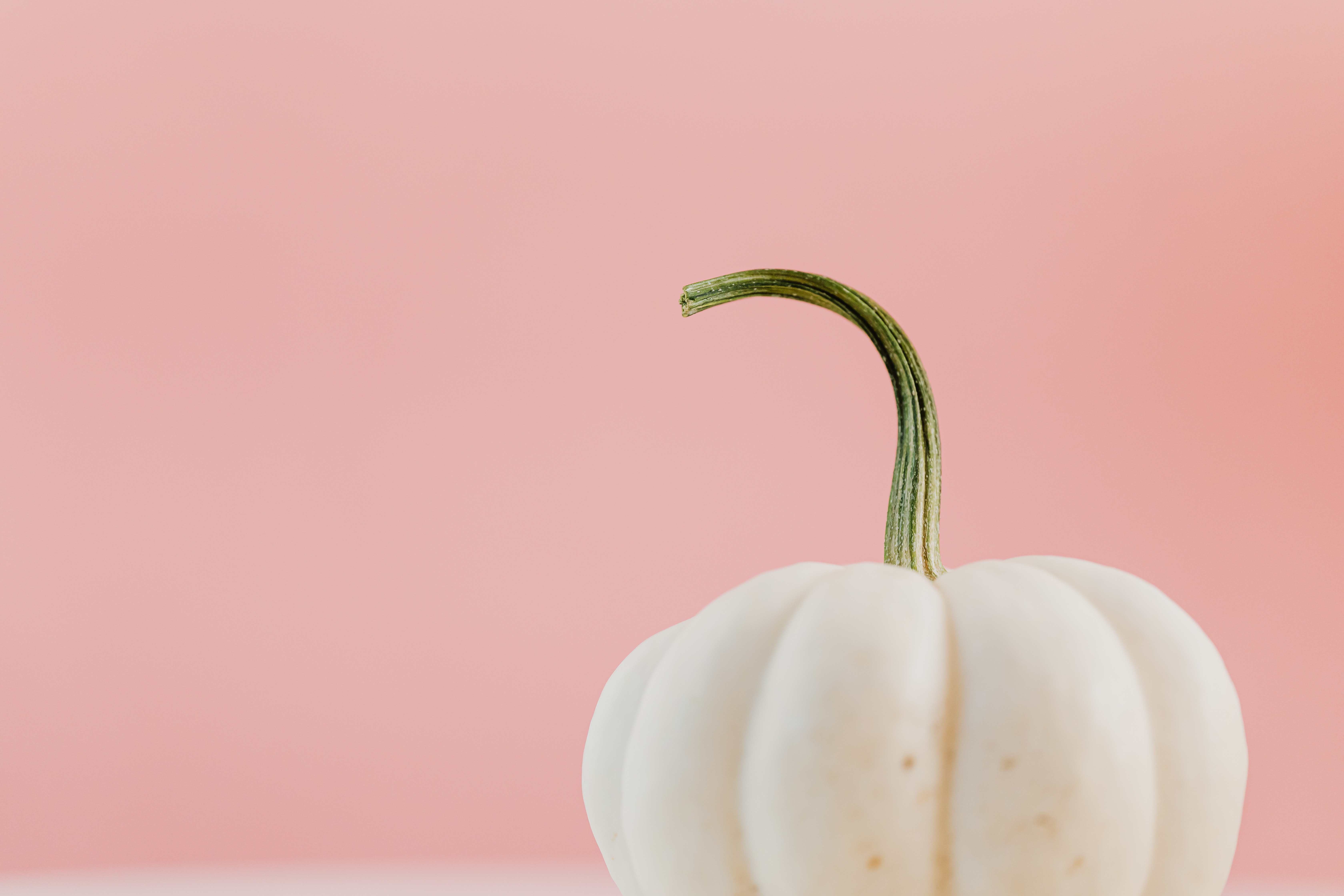 White Pumpkin Wallpapers