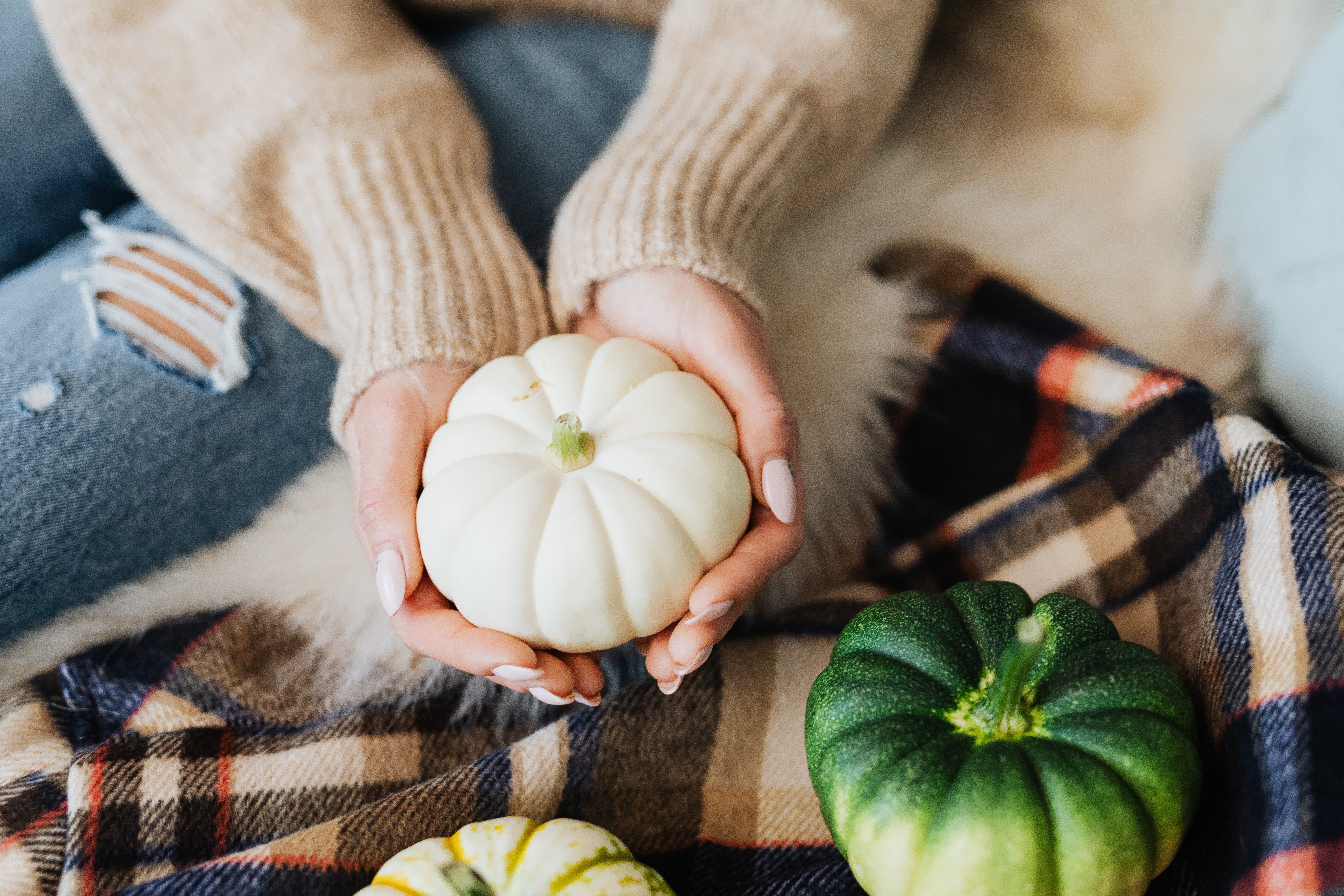 White Pumpkin Wallpapers