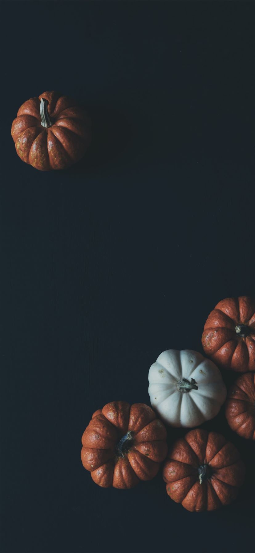 White Pumpkin Wallpapers