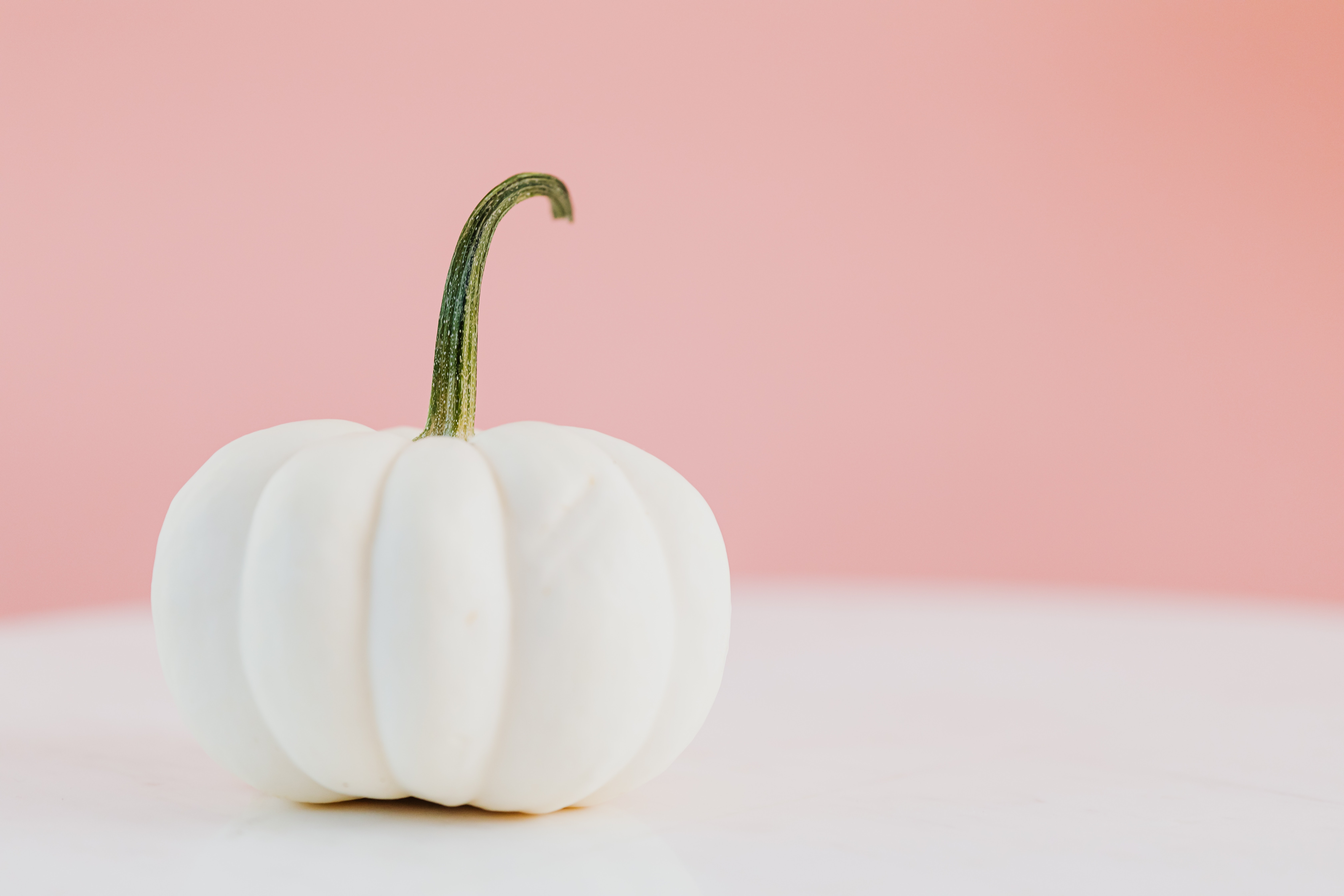 White Pumpkin Wallpapers